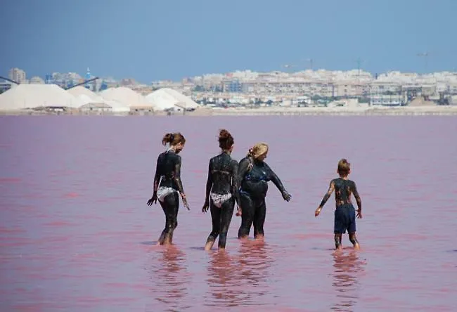 Torrevieja Apartment *